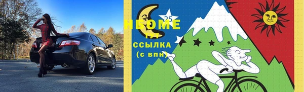 амф Ельня