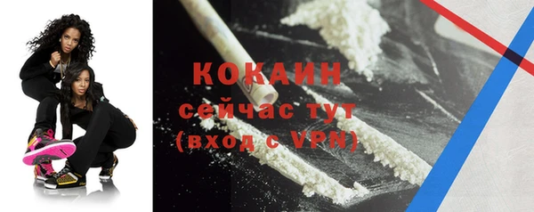 амф Ельня