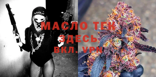 амф Ельня