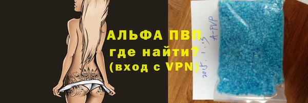 амф Ельня