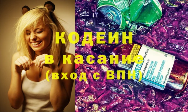 амф Ельня
