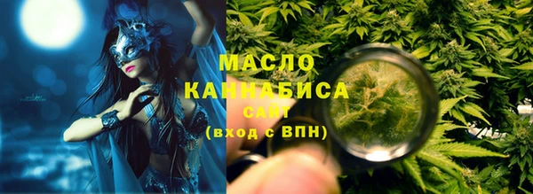 амф Ельня