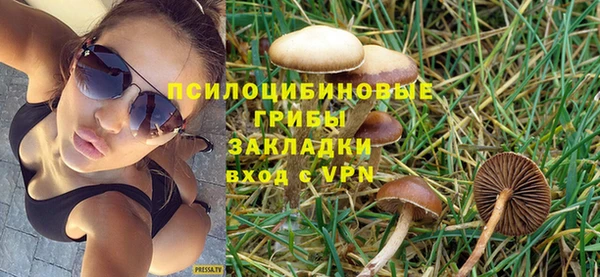 амф Ельня
