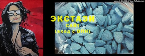 амф Ельня