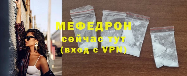 амф Ельня