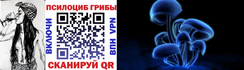 что такое Лабинск Галлюциногенные грибы Psilocybe